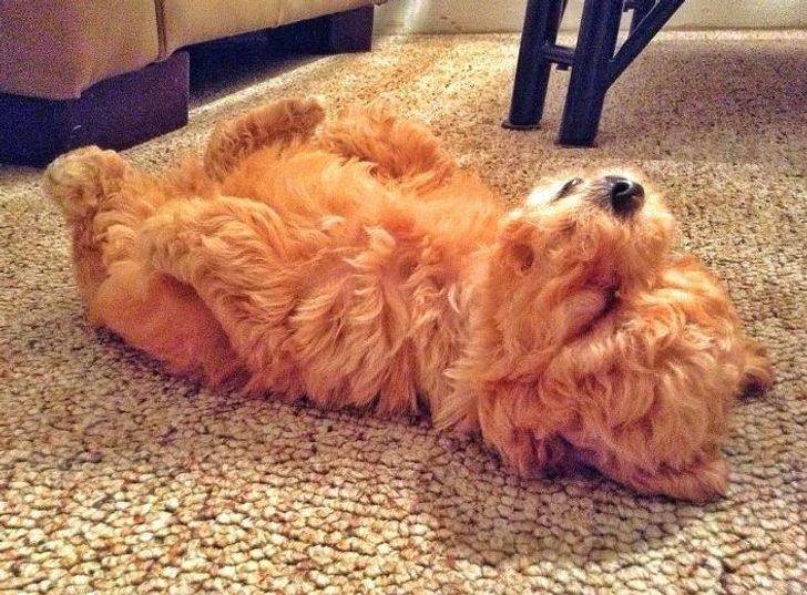 b8f3e2530fbe513a5e4ac0f152