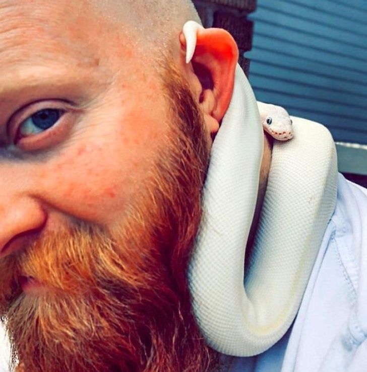 b8f8335d809bc9216b287d1314