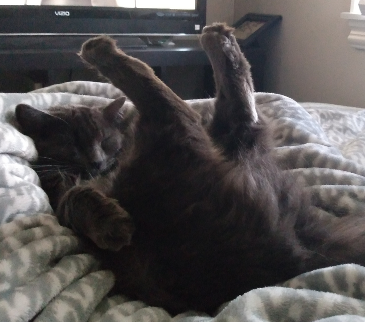 b90a6259948cff76d388cbfaa9