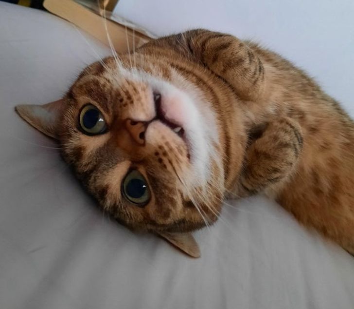 b913155753b1244ece7a7ad2d8