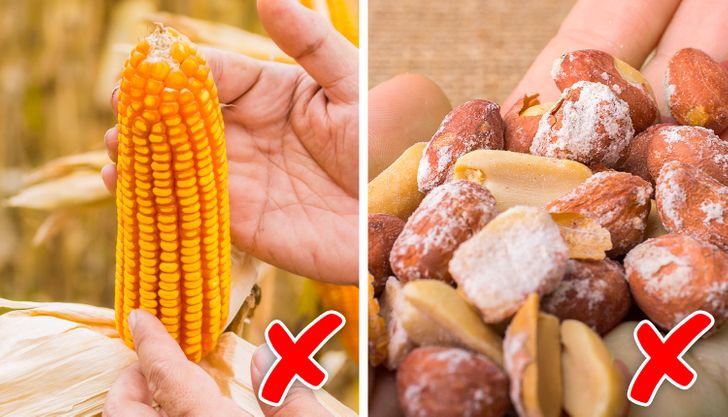 b91b325d5f8bfd0261a6671677