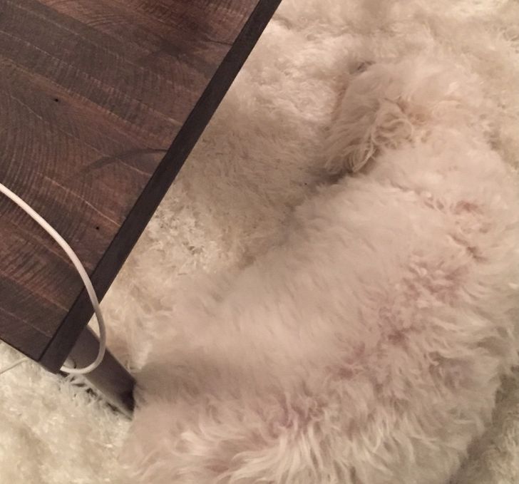 b9234455a38ad40632cb1e6695