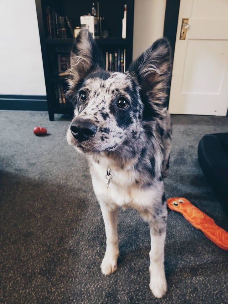 b928e15f1fa2a7026a765eaefe