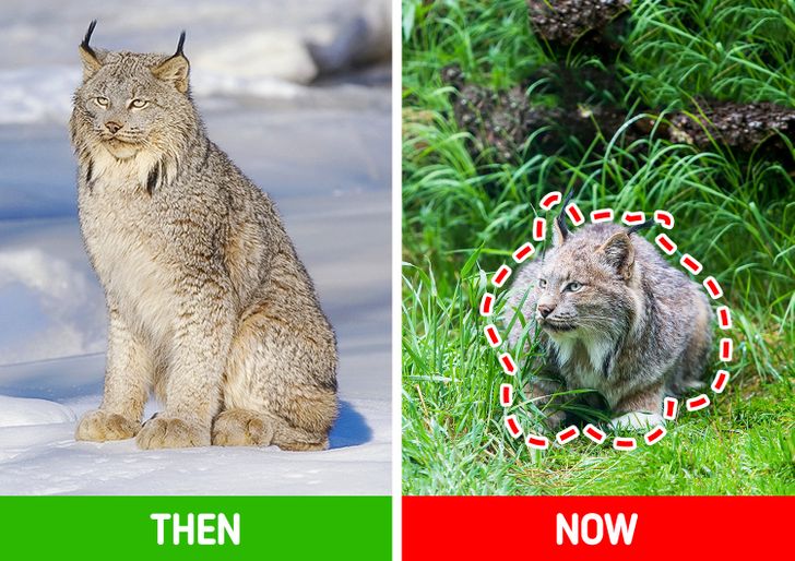 b928ff5a00b8eed614ff1d31d5