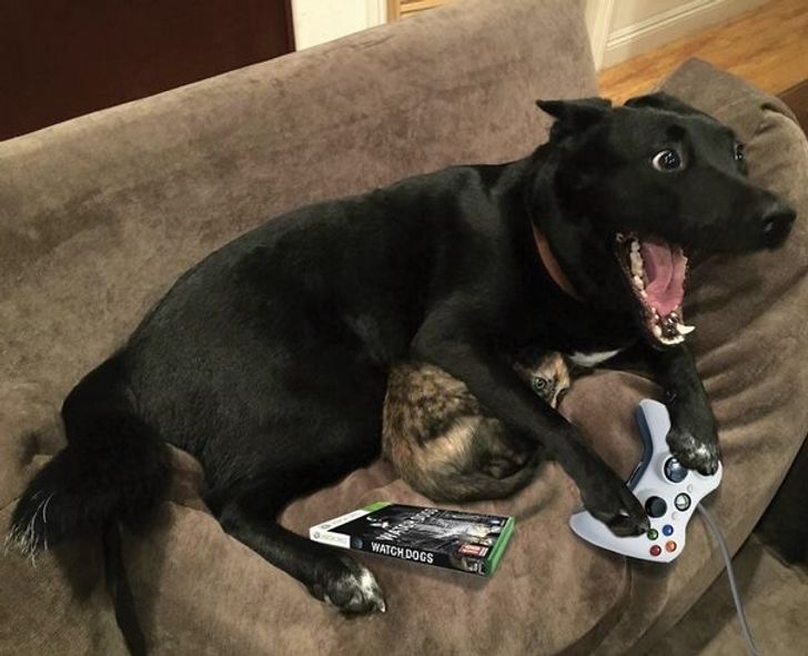 b92c345d9f806eda642f213256