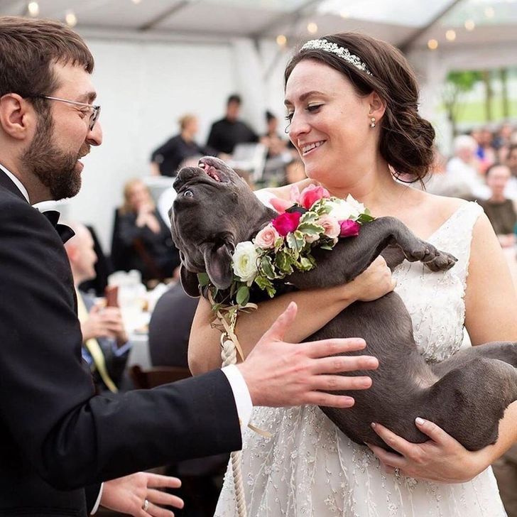 b938095f529f04980a92e46b83