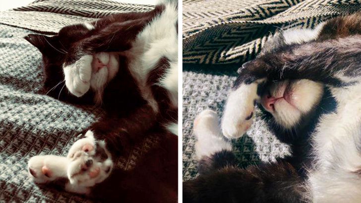 b93fc85dc4aff53c248bfea5a8