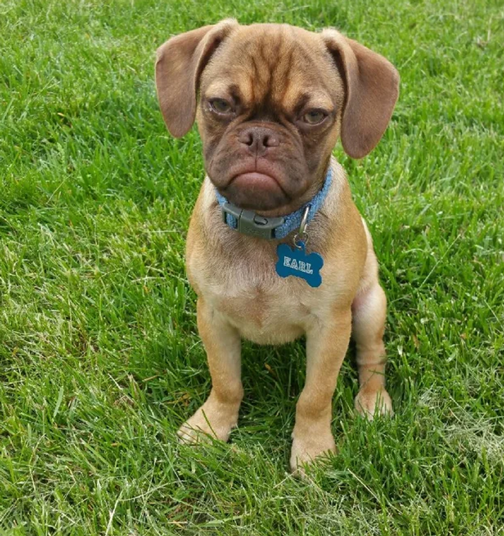 b94a5d53d589346bbf0c4f605c