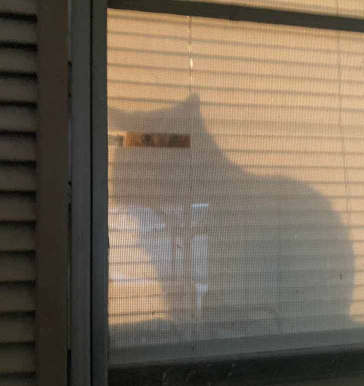 b94ae15eefa5a5915ebd661a60 b94ae15eefa5a5915ebd661a60