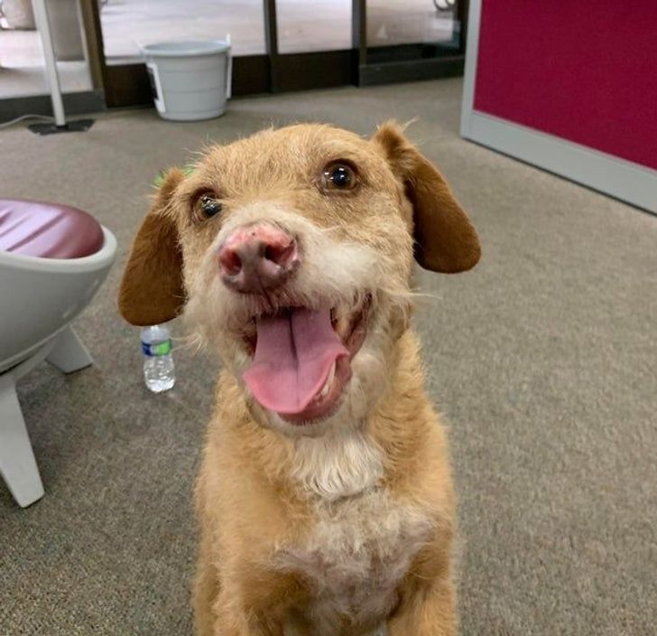 b960d95a0783ce6304badf457c