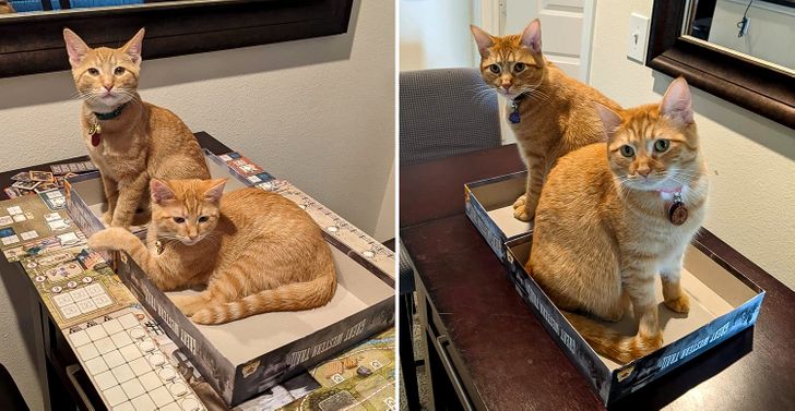 b96f555ed4856bad57d2305621