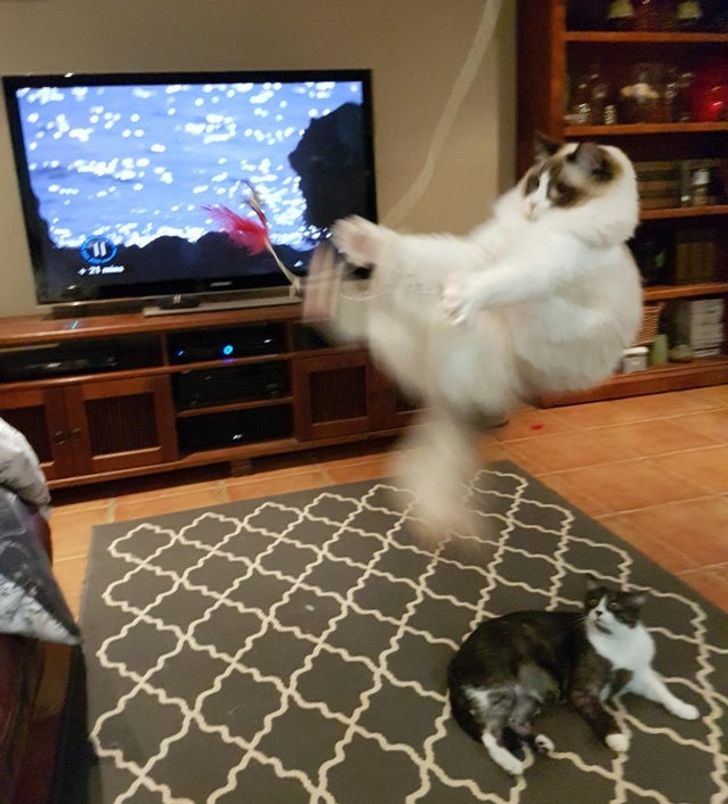 b9744f56aeb1aad9e609d948ed