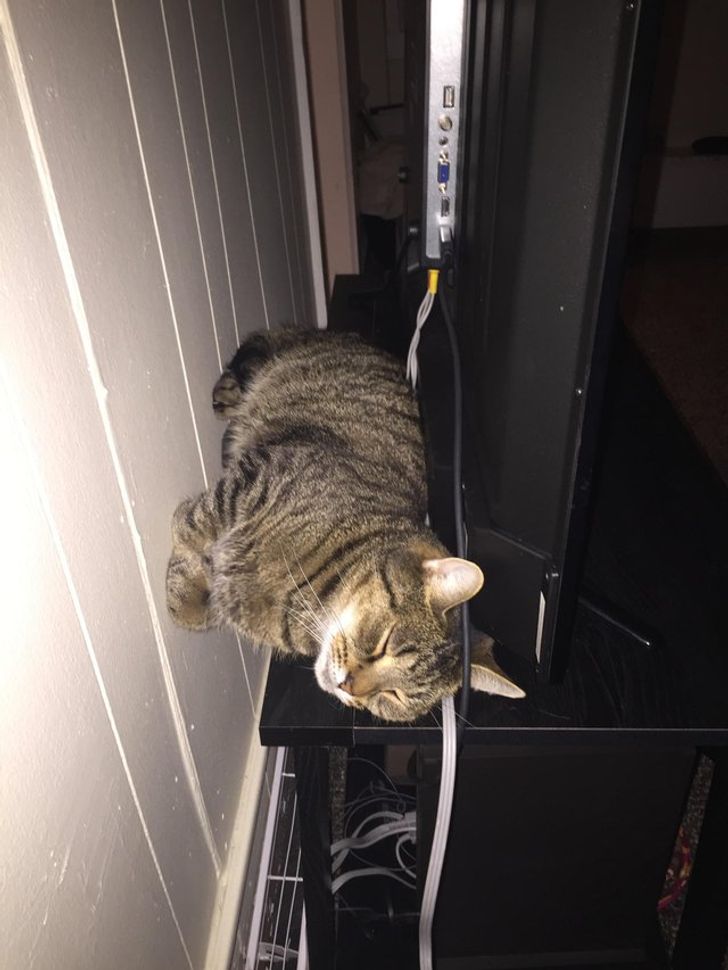 b977fe53eab2698a5471c9115c