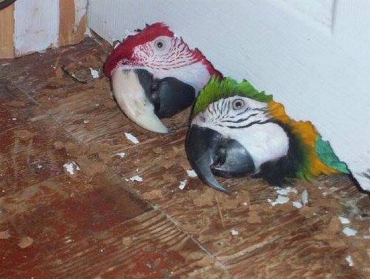 b9814d523f8174547d054459f1 b9814d523f8174547d054459f1