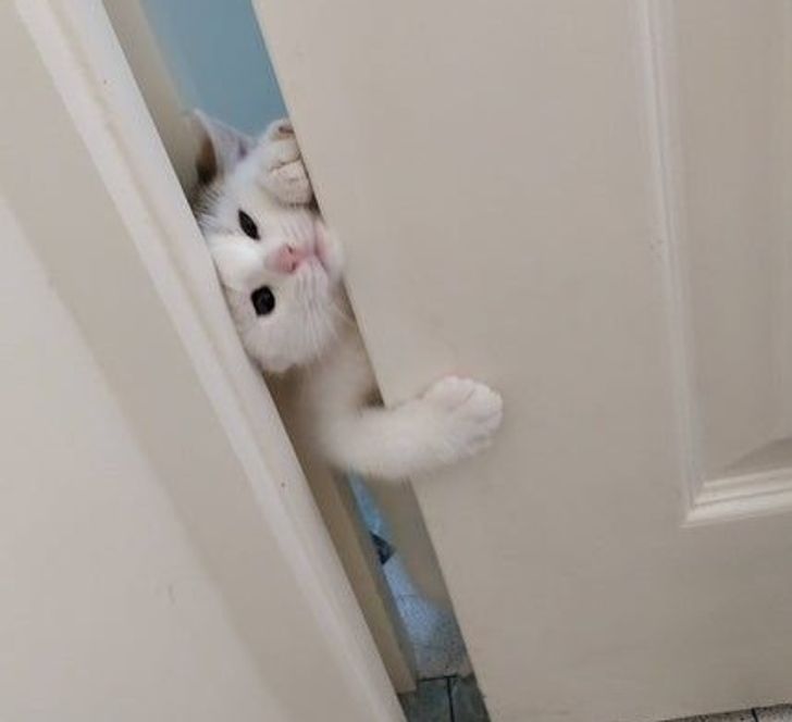 b98a8c580e8bd0ef8f7a15b913