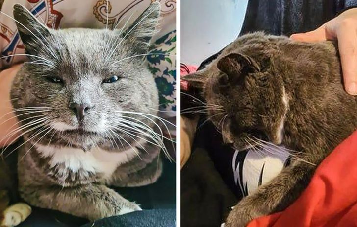 b990e15af3b37a0dd4d7f9f231