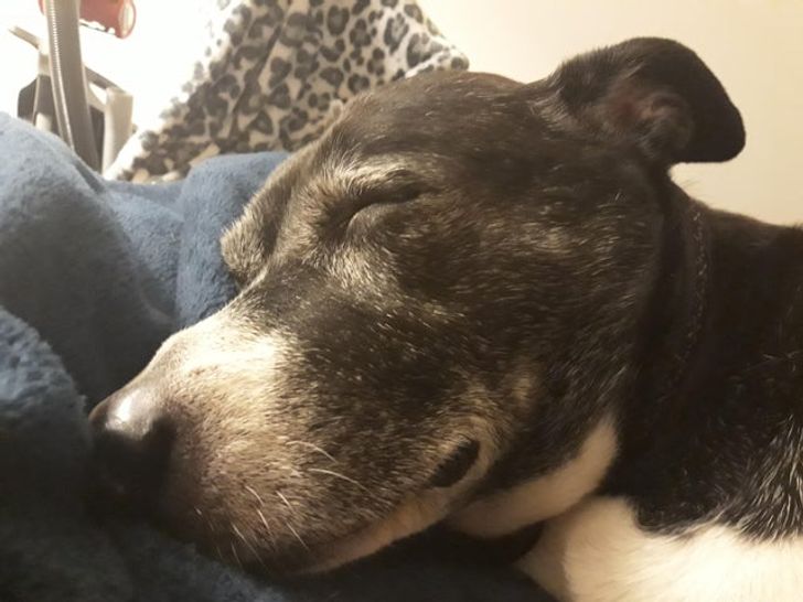 b99132510eb85b1fe62dff72fa