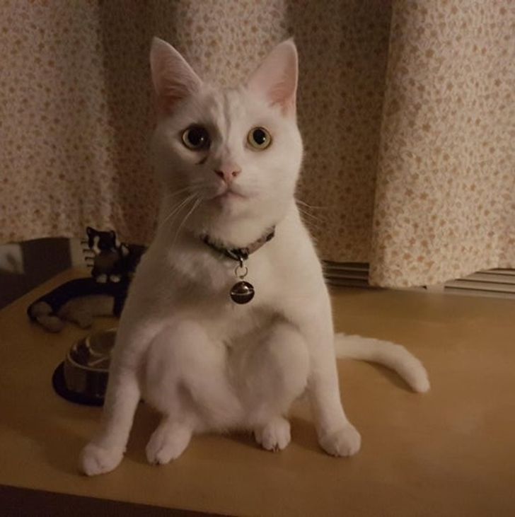 b99186510ab37fa8a7e2aaa11f