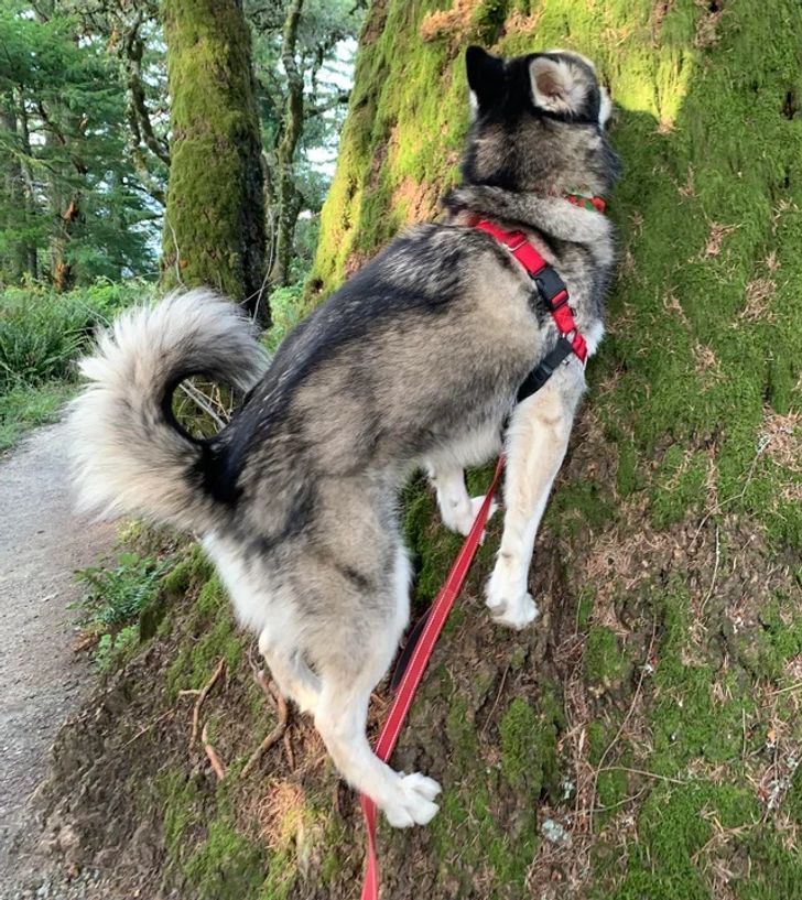 b993c95e78a1d6a395365ab2db