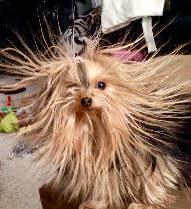 b998c75084a237d658f0719fe1