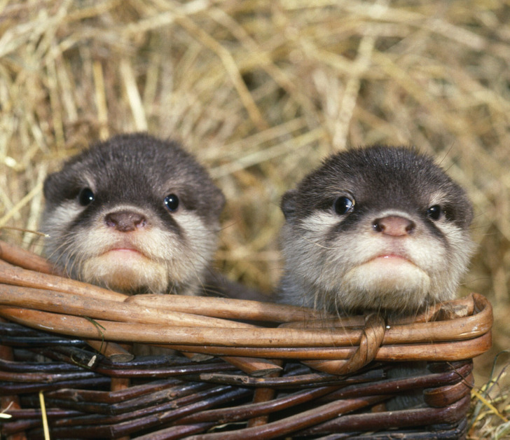 b99cdc5ae18894ee09f178b2e7