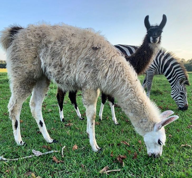 b9a09559b892c23a73c1fe58d1