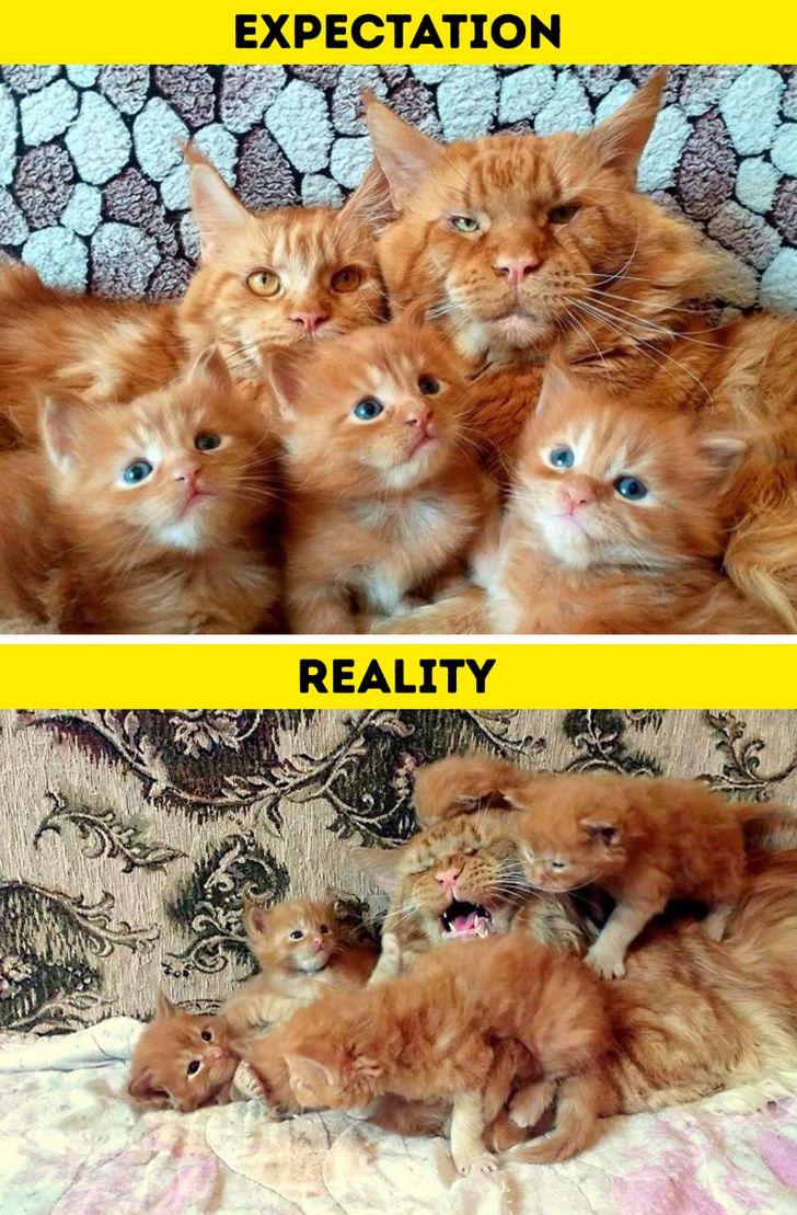 b9a7dd5848968fc87917e04da0