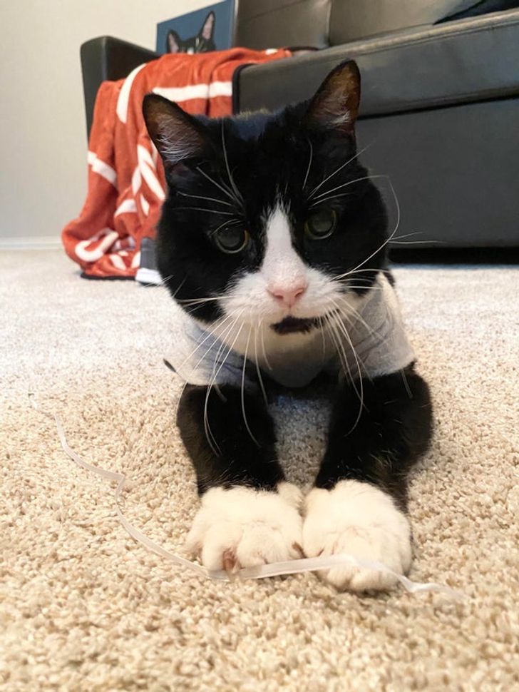 b9a83c580b8f2ce7082383ba08