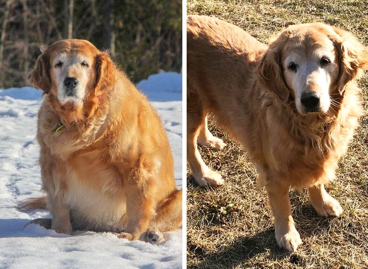 b9ae745e7e8f7b232da0b56f25