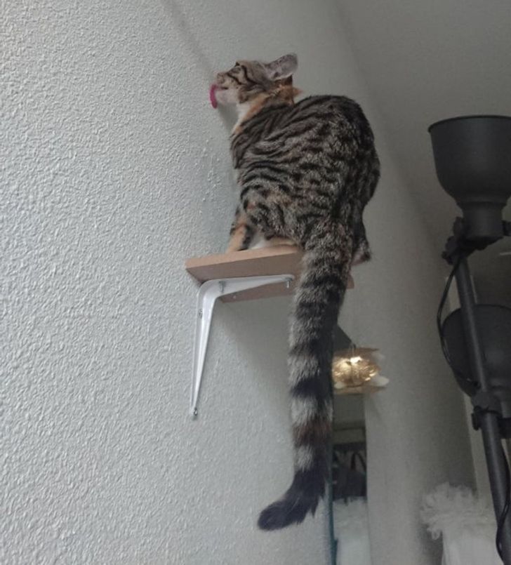 b9af525fd5a50a87ba450a1ff5