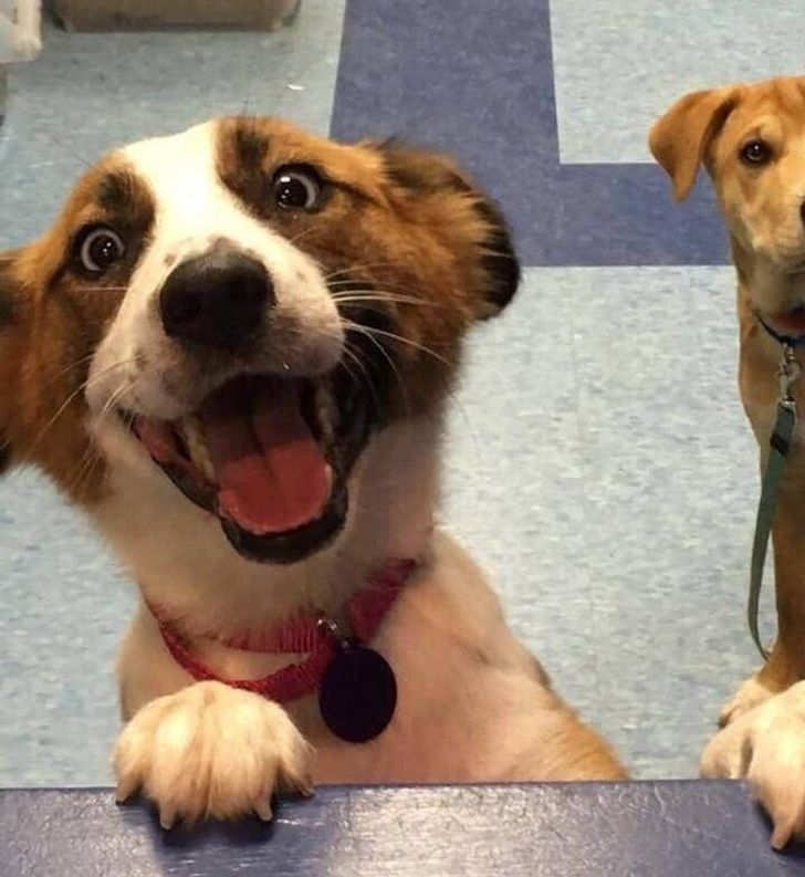 b9b3c85ecbb2a69c54a06e76b3