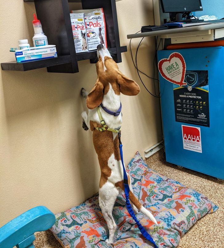 b9b6005893a6b9f4dc48cf6e58