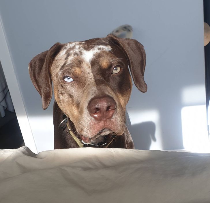 b9bc6f5fb384e8f842722b540d