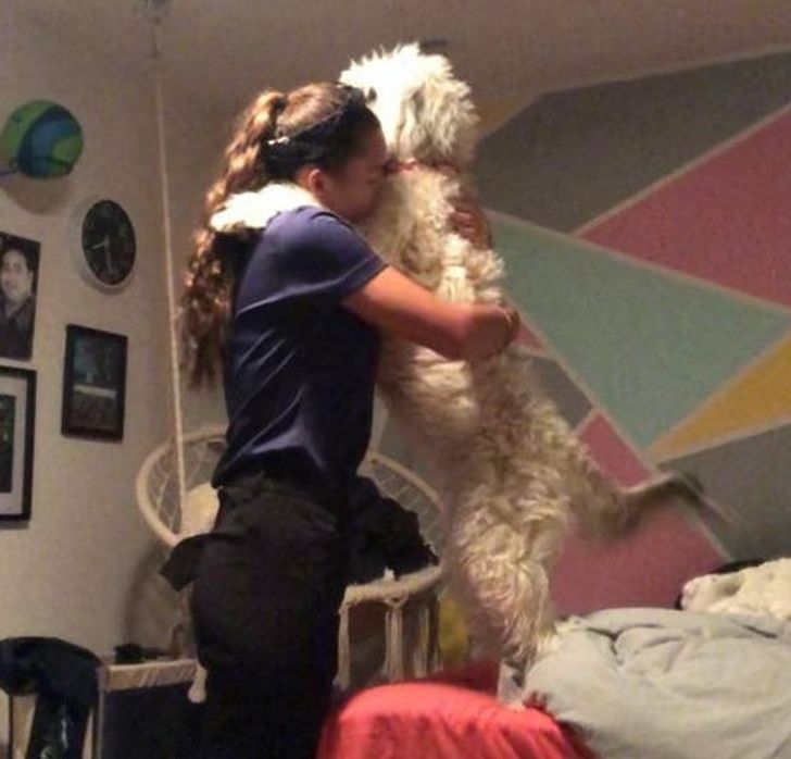 b9bf8a52b4b531aebed2f6e2f1