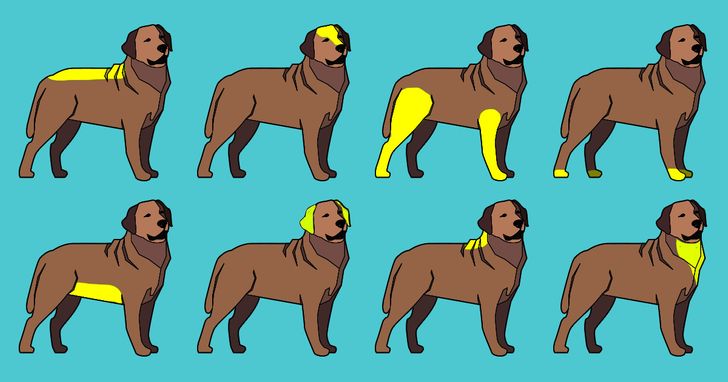 b9cc715d52b328a94b267b4764