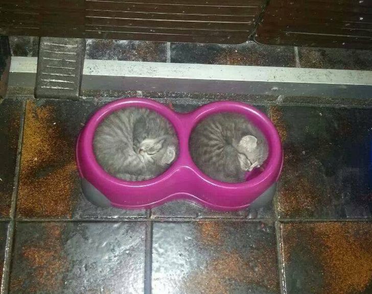 b9d92d5dc6abf4b32bee5baa50