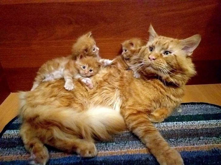 b9d9bc55d8bc3106fb9e5860a5