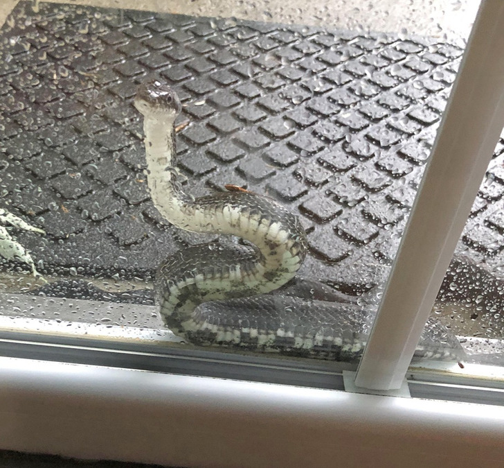 b9eee956659507e8ec6dd83ac0