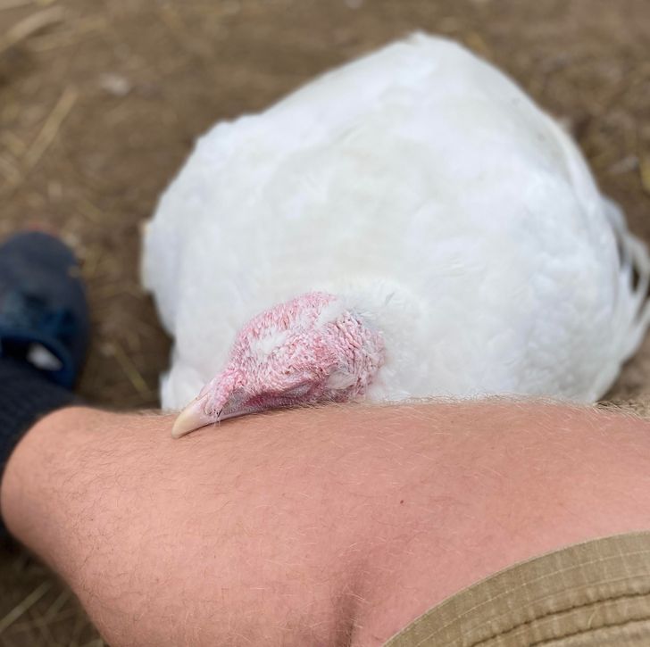 b9f28556ad86927301f2fd2b71