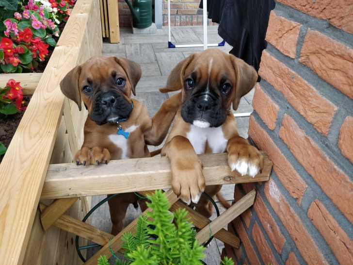 b9f4905407bdae1f359aeb6157