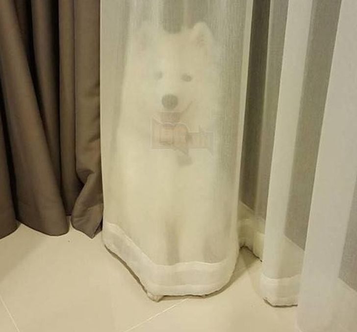 b9f5cc5991ad05b1c43370c45e