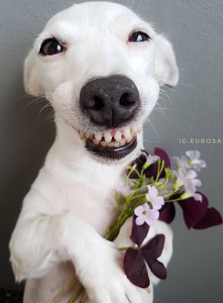 b9f94b5c2ba030bea1b98b01d8