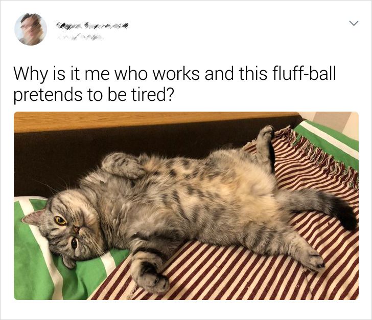 ba03d25c12a5dd7966f03fd428