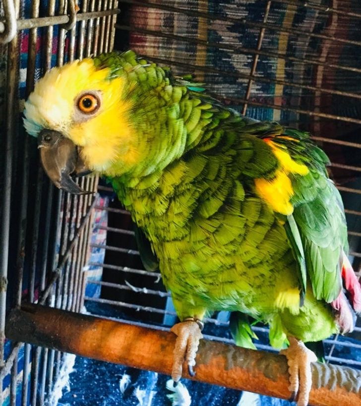 ba125d5ecc9cf9c8c3d613349d