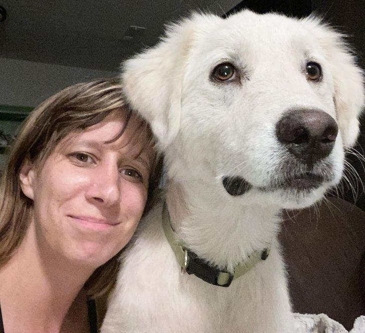 ba17395cd98381260b90062273