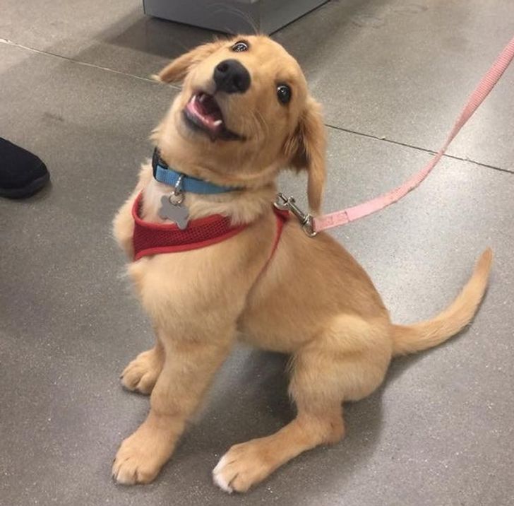 ba1b385c6f9ef0fd5755335647