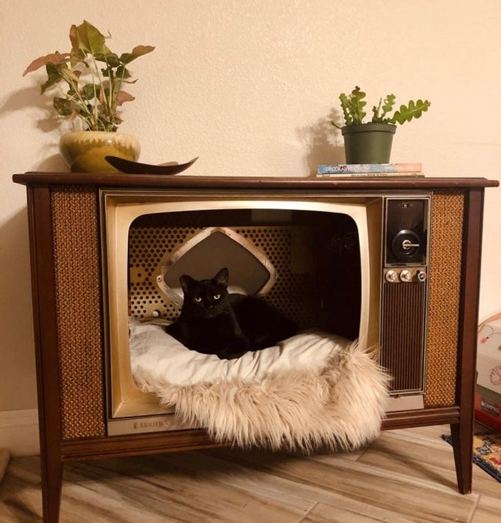 ba235753a6aa2125886b3e6764