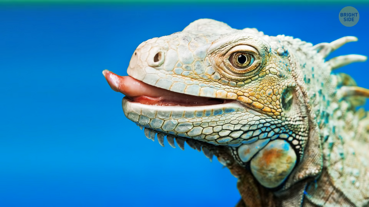 ba24ab5190b5f7bfeceb4801d5 ba24ab5190b5f7bfeceb4801d5