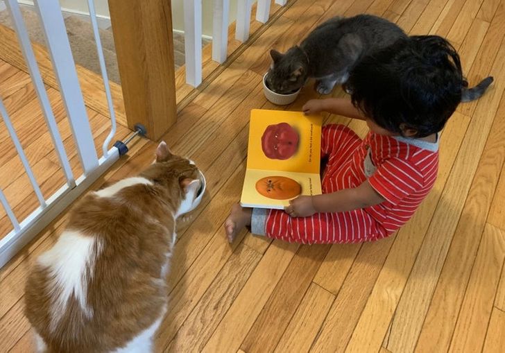 ba27975d0686a4b2b73cc35ee8