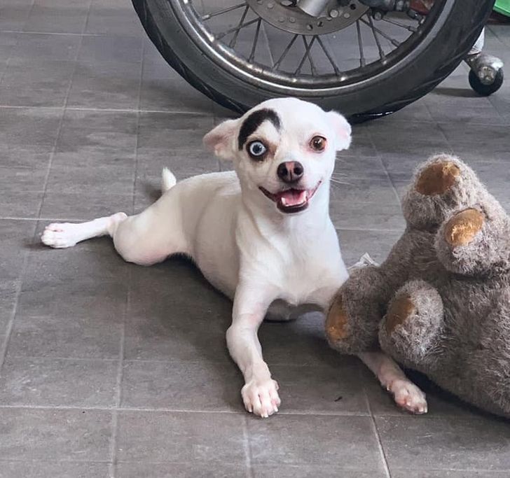 ba298f5dc49243ceab8a9dbeac ba298f5dc49243ceab8a9dbeac